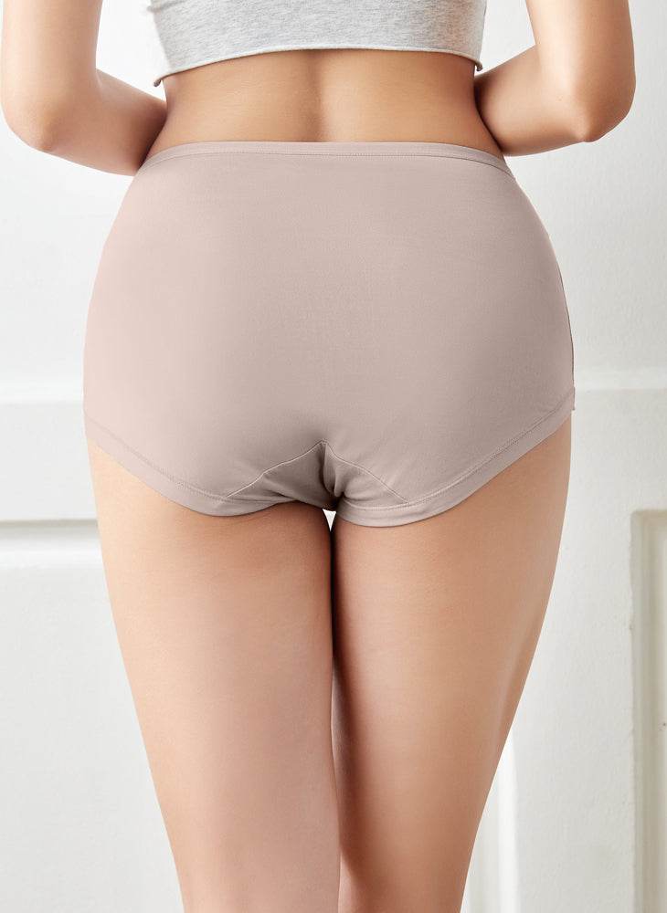 Homey Briefs Maxi Plus Panties – Sorella Singapore